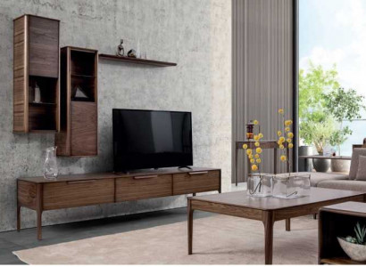 Living room set cabinet wall shelf with TV stand modern design living wall